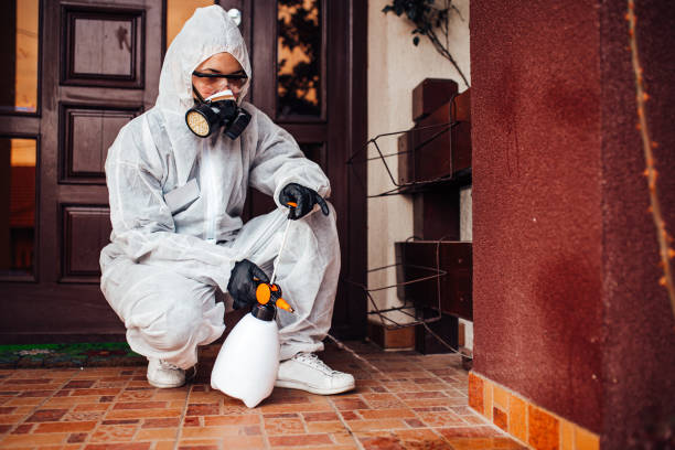 Reliable Bed Bug Control contractor in Ferndale, MI by Nex Pest Control